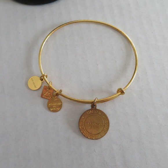 Alex and Ani Arrows of Friendship Charm Bangle/Bracelet, Shiny Gold, EUC - Picture 2 of 3